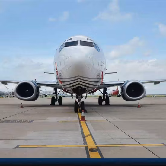 Despacho aéreo internacional profissional, serviço de transporte marítimo (DDP DDU), da China para o Canadá, Itália, Noruega, Lituânia