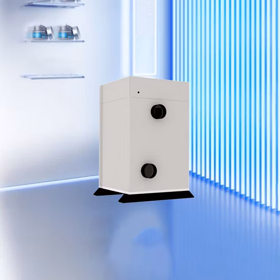 Frete Aéreo Transporte Marítimo Armazenamento Gratuito DDP