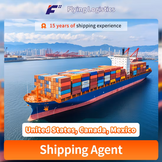 LCL DDP Sea Freight Transportation Shipping Service From China to Sherbrooke/Trois-Rivieres Canada