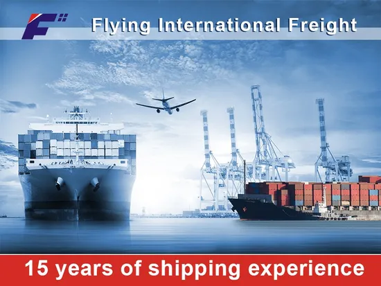 LCL DDP Sea Freight Transportation Shipping Service From China to Sherbrooke/Trois-Rivieres Canada