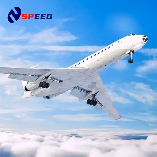 Transitário/carga aérea/transporte marítimo/expresso de Shenzhen/Xangai/Guangzhou para os EUA/Boston/Tampa Agentes de transporte Logística Fba Amazon Transportation