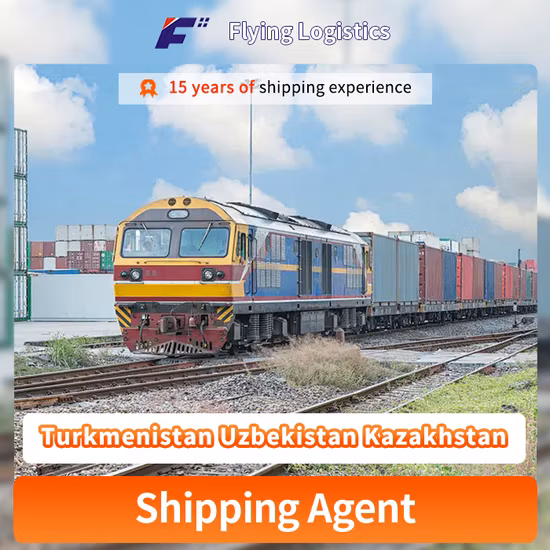 Transporte confiável para a Holanda da China por transporte ferroviário
