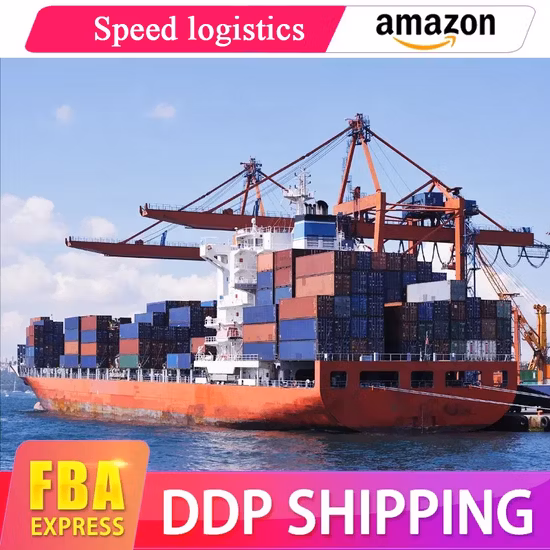China para Itália/França/Reino Unido/Espanha/Alemanha/Europeu Amazon Fba DDP Serviço de Transporte