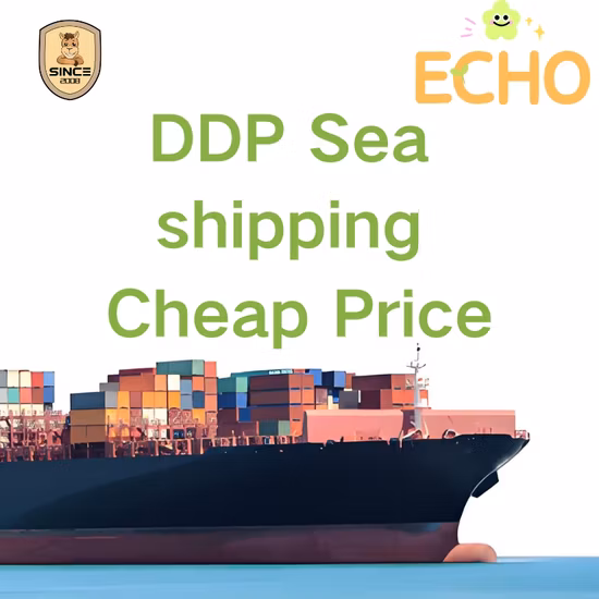 Agenciamento de frete internacional/transporte profissional/transporte aéreo/entrega rápida de shenzhen para países da europa ocidental e americanareferência fob p